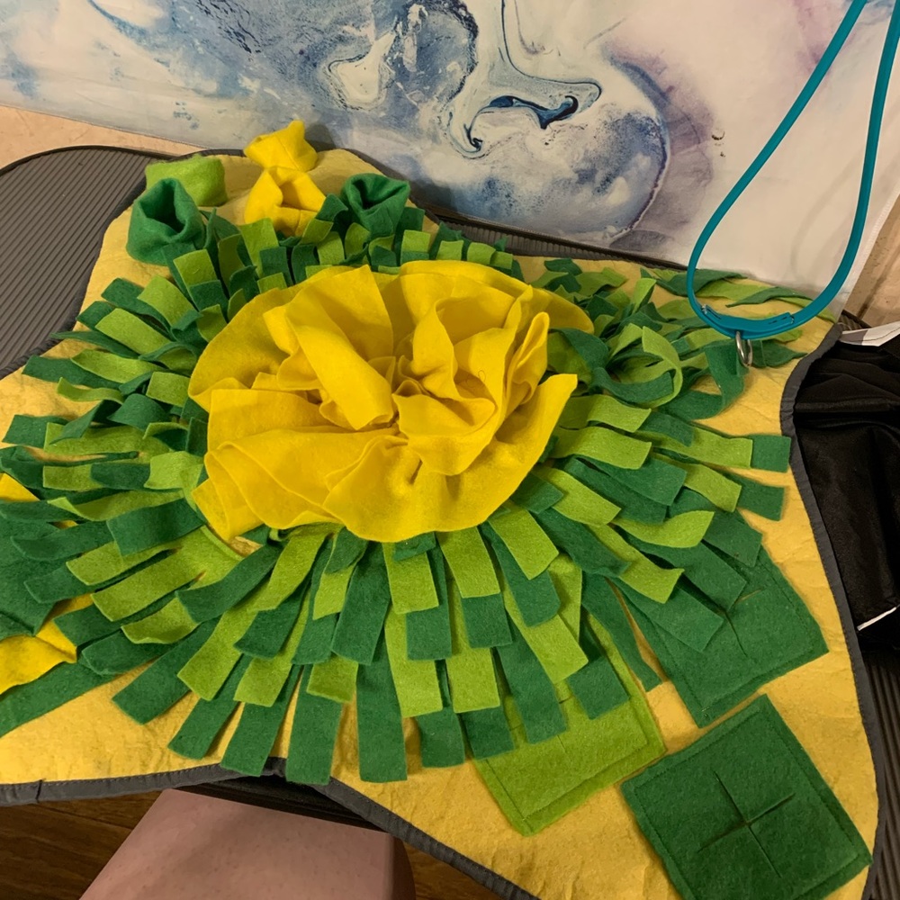 Snuffle mat for dogs